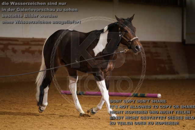 s_K3F01767.JPG